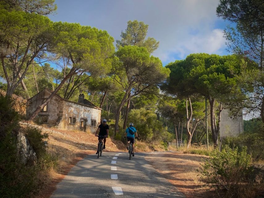 Lisbon: E-bike Trip from the Sintra Mountains to Cascais Sea - Hotel pickup, Cascais Market start, and how the day actually flows