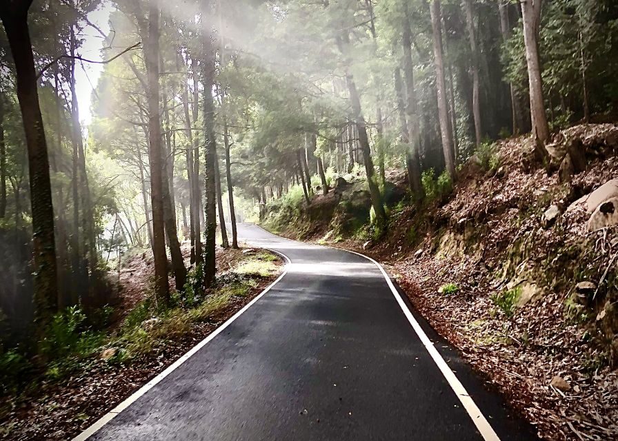 Lisbon: E-bike Trip from the Sintra Mountains to Cascais Sea - How the e-bike ride really feels on 35 km