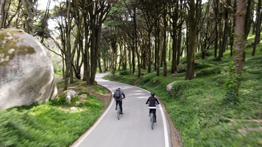 Lisbon: E-bike Trip from the Sintra Mountains to Cascais Sea - Climbing the Sintra Forest: sheep, gardens, and a fountain break