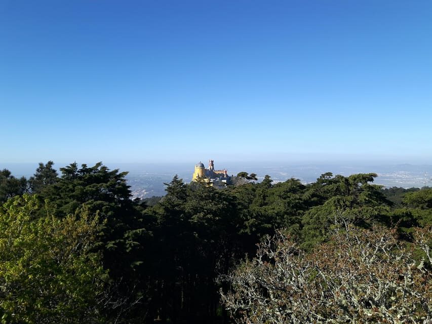 Lisbon: Half-Day Sintra Tour with Pena Palace and Regaleira - Quinta da Regaleira: UNESCO mysteries, symbol walking, and the fun kind of confusion