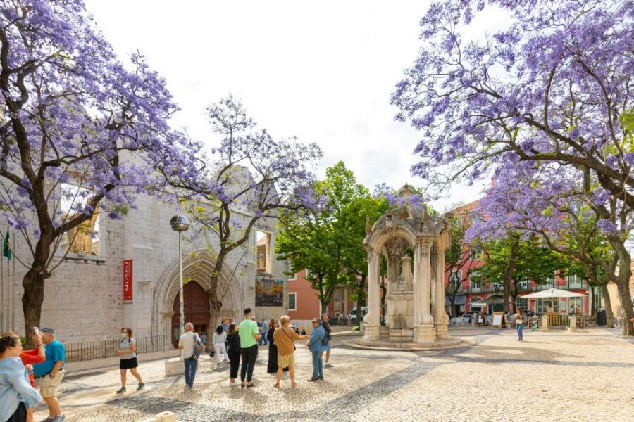 Lisbon: History, Stories and Lifestyle Walking Tour - Included Coffee and Cake: Small Stops That Actually Matter