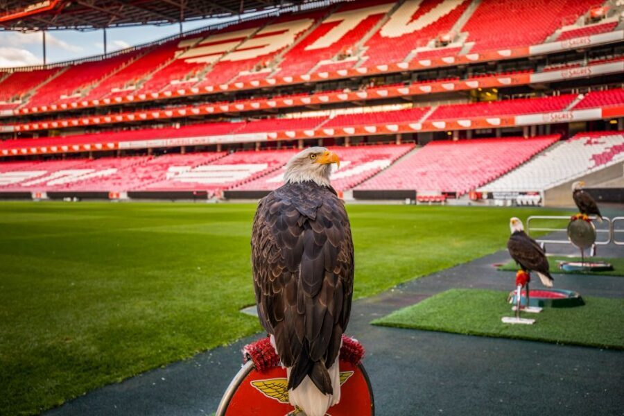 Lisbon: Luz Stadium Tour & SL Benfica Museum Ticket w/Scarf - Hall of Fame, VR Experience, and the Tunnel onto the Pitch