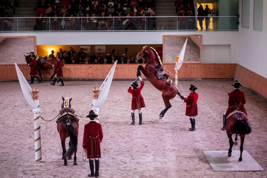 Lisbon: Morning of Equestrian Art with Lusitano Horses - Morning Lusitano Training: why this Lisbon experience feels different