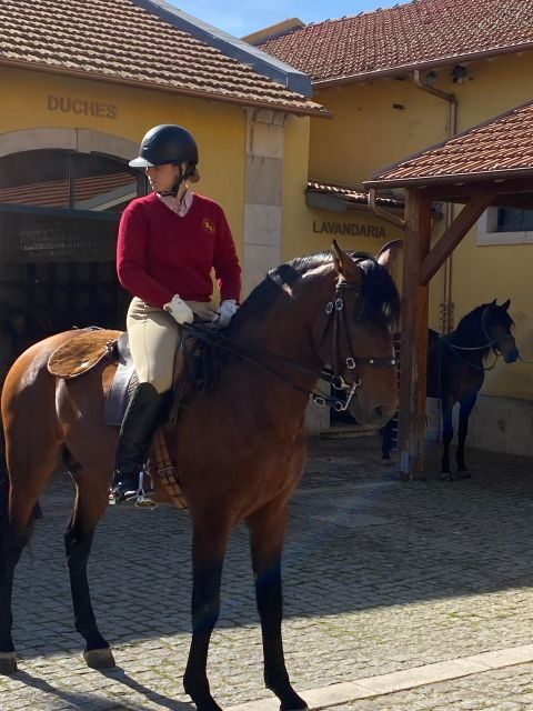 Lisbon: Morning of Equestrian Art with Lusitano Horses - Period music, period costume, and using the audio guide effectively