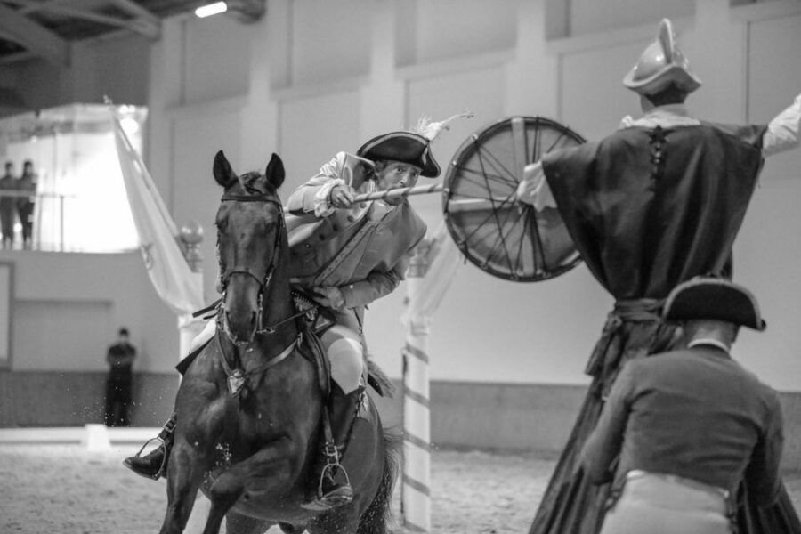 Lisbon: Morning of Equestrian Art with Lusitano Horses - Photography rules and what to bring so your morning runs smoothly