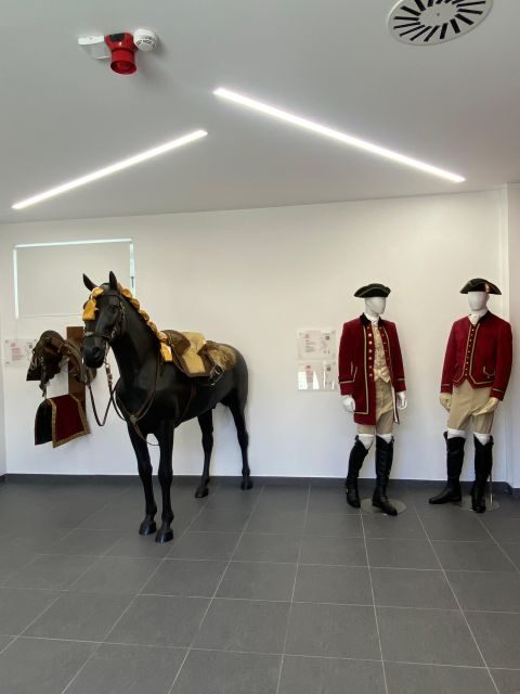 Lisbon: Morning of Equestrian Art with Lusitano Horses - Price and value: what the $17 ticket really covers