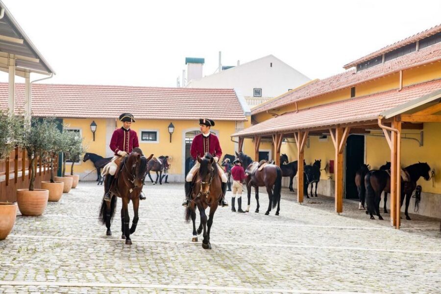 Lisbon: Morning of Equestrian Art with Lusitano Horses - Who should book this equestrian morning (and who might not love it)