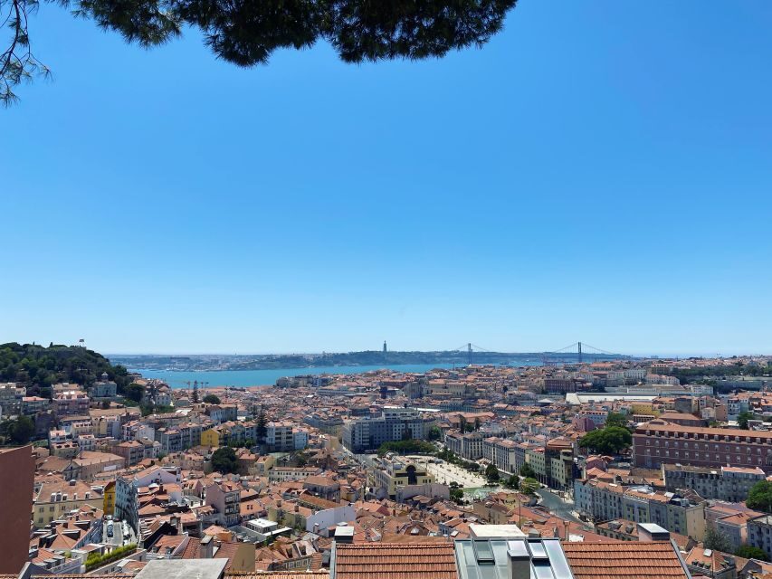 Lisbon: Private City Sightseeing Tour by Tuk-Tuk - Price and value: what $46 buys you in 90 minutes