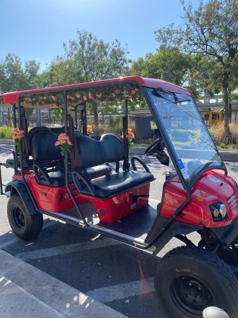 Lisbon: Private City Sightseeing Tour by Tuk-Tuk - Downtown highlights: from City Hall to Lisbon Cathedral
