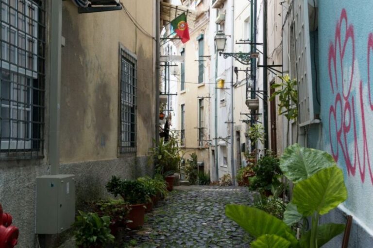 Lisbon: Private City Tour by Eco Tuk Tuk - Price and value: $28 per person for a private city overview