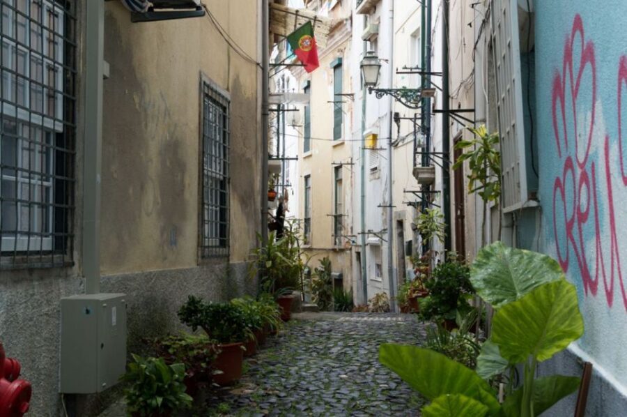 Lisbon: Private City Tour by Eco Tuk Tuk - Price and value: $28 per person for a private city overview