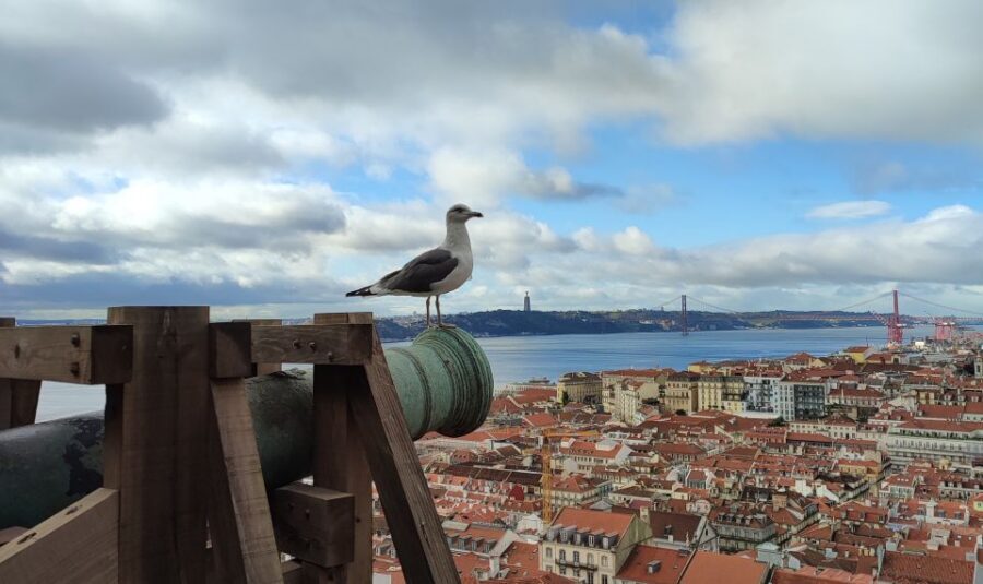 Lisbon: Saint George's Castle Entry Ticket and Guided Visit - Why São Jorge Castle Is the Best First Stop on Your Lisbon Hill