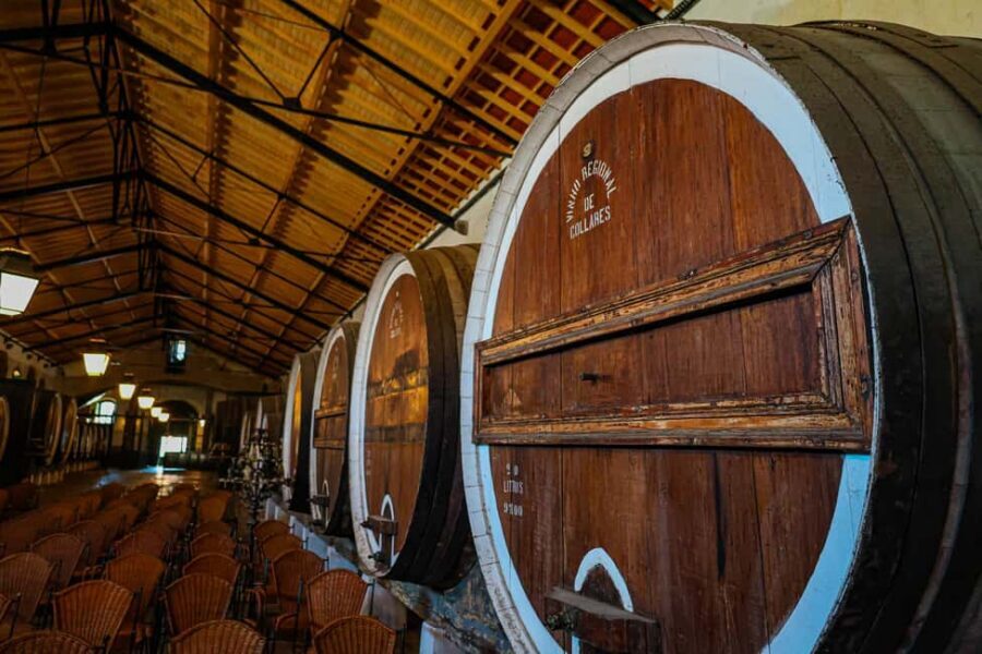 Lisbon: Sintra, Coast and Wine Small-Group Day Tour - Colares Wine Estate: Where the Tour Earns Its Price