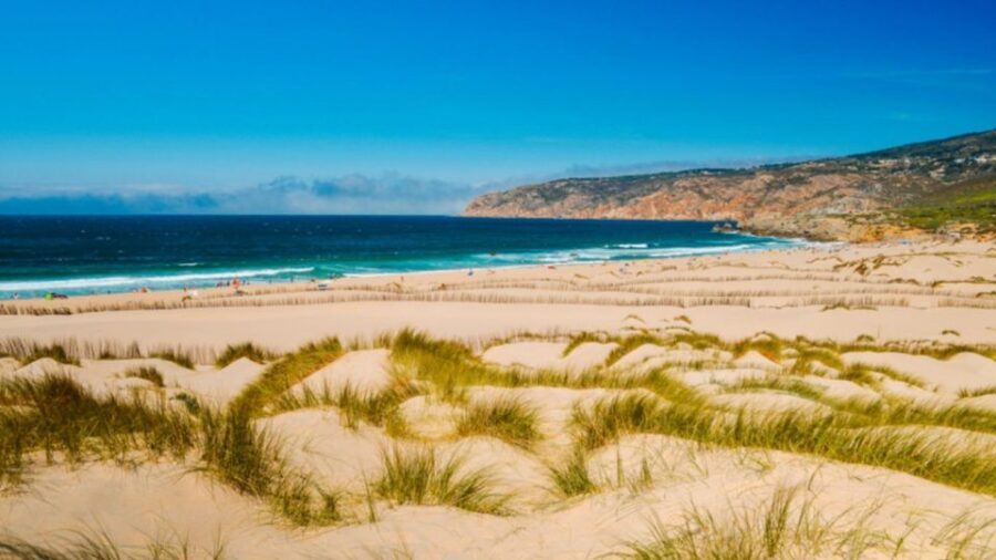 Lisbon: Sintra, Pena Palace, Cabo Roca Coast & Cascais Tour - Guincho Beach and the Atlantic: short stop, big feeling