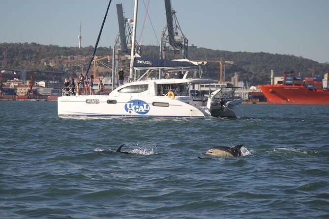 Lisbon: Sunset Cruise With Drinks on Spacious Yacht - Who Should Book This Cruise (And Who Might Want a Different Option)