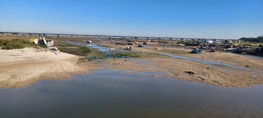 Lisbon: Tagus Estuary Nature Reserve Birdwatching Boat Tour - Mouchao da Povoa and the Vasco da Gama Bridge: scenic passes with real birding value
