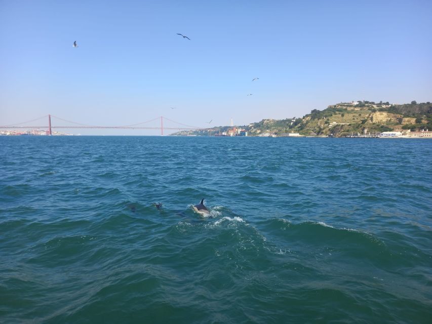 Lisbon: Tagus River Cruise to the Ocean & Dolphin Watching - Fort São Lourenço do Bugio to Belém: landmarks you get from the water
