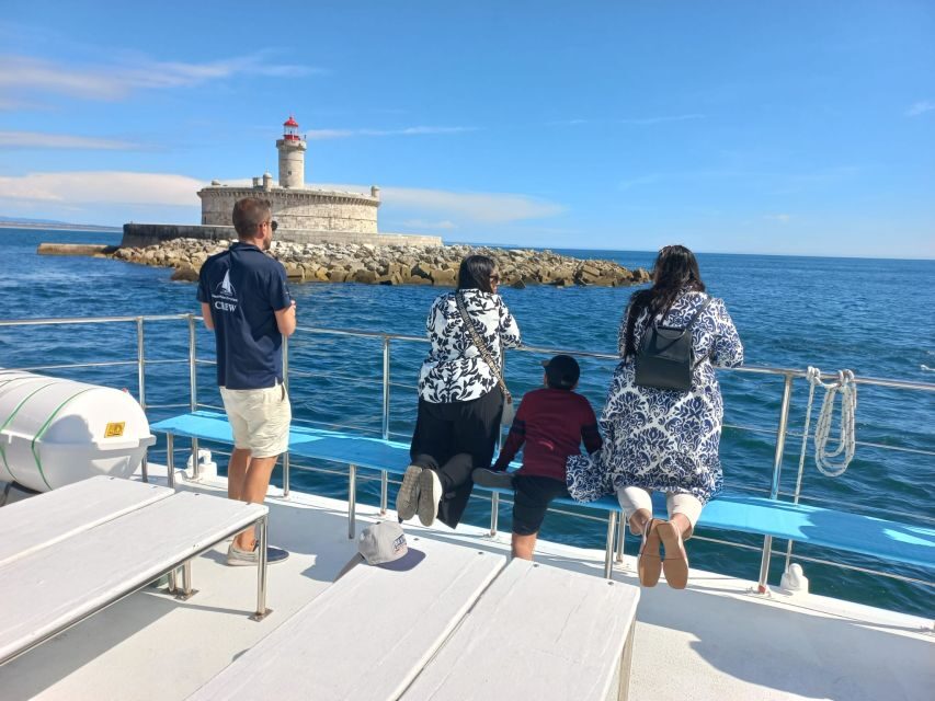 Lisbon: Tagus River Cruise to the Ocean & Dolphin Watching - When the ocean search starts: how dolphin spotting really works