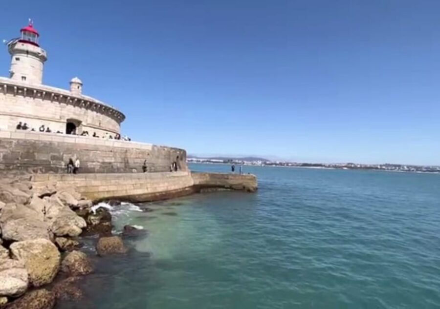 Lisbon: Tagus River Cruise to the Ocean & Dolphin Watching - Open bar and guide style: what actually makes the 2.5 hours feel good
