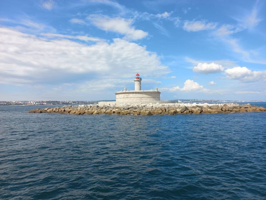Lisbon: Tagus River Cruise to the Ocean & Dolphin Watching - Speed boats, weather, and seasickness reality checks