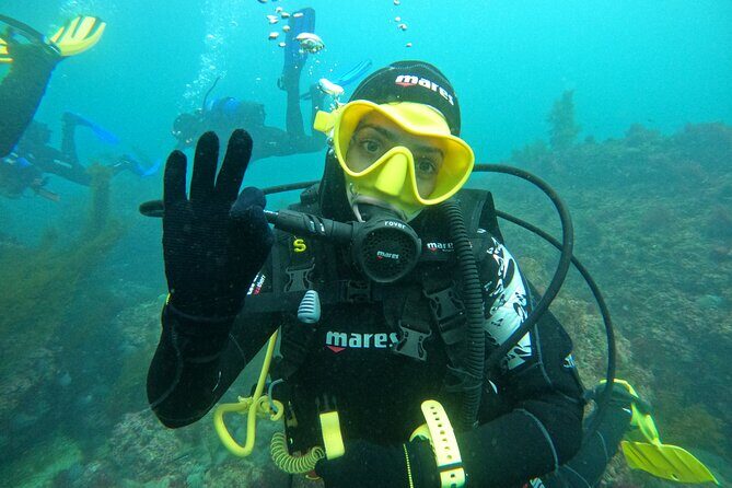 Lisbon: Try Scuba Diving in Arrabida Marine Reserve with photos - The water-skills part: learning what you need for 10 meters