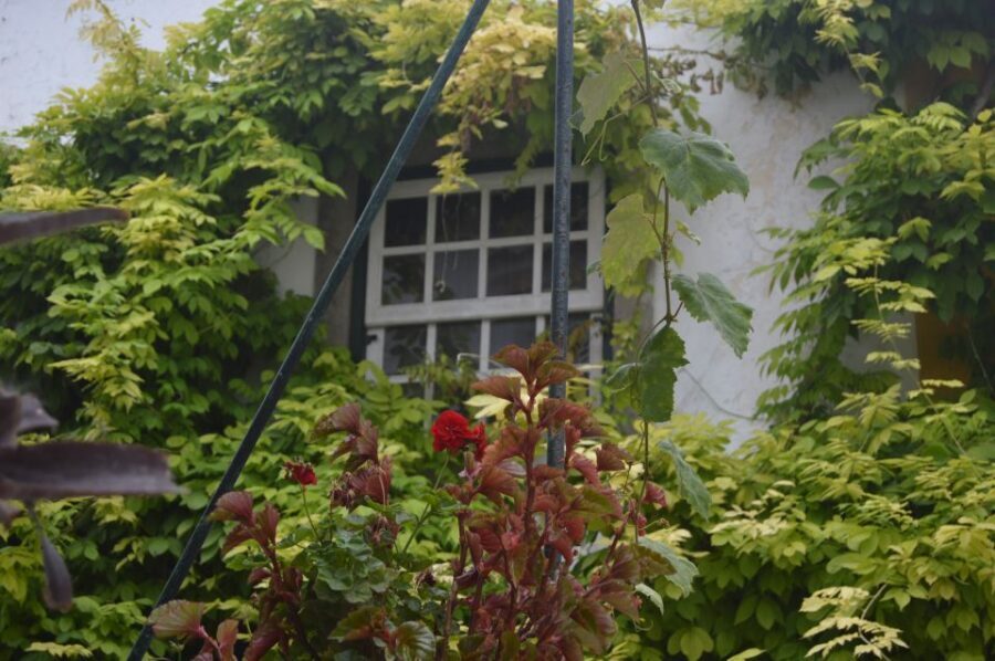 Óbidos: Medieval Tales & Secrets Spots Guided Walking Tour - Price and value: what $41 buys you in practice
