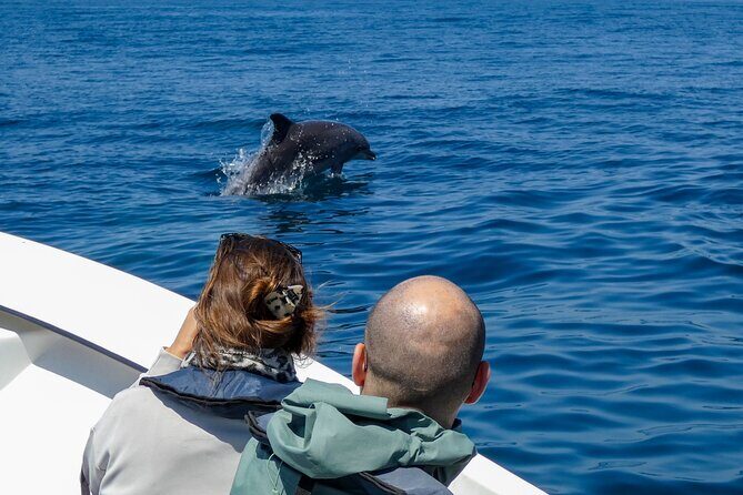 Observation of Dolphins and Whales with Marine Biologist in Arrábida - A Boat Ride Backed by a Marine Biologist in Arrábida