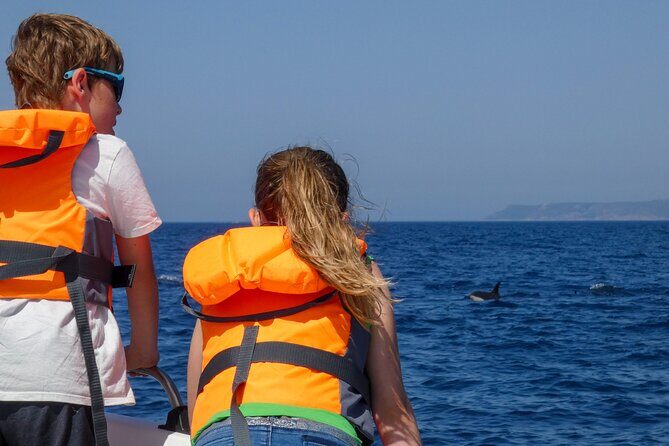 Observation of Dolphins and Whales with Marine Biologist in Arrábida - Who Should Book This Dolphin and Whale Watching Trip