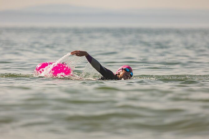 Open-Water Swimming in Cascais - Price and value: why $60.34 can make sense (and when it won’t)