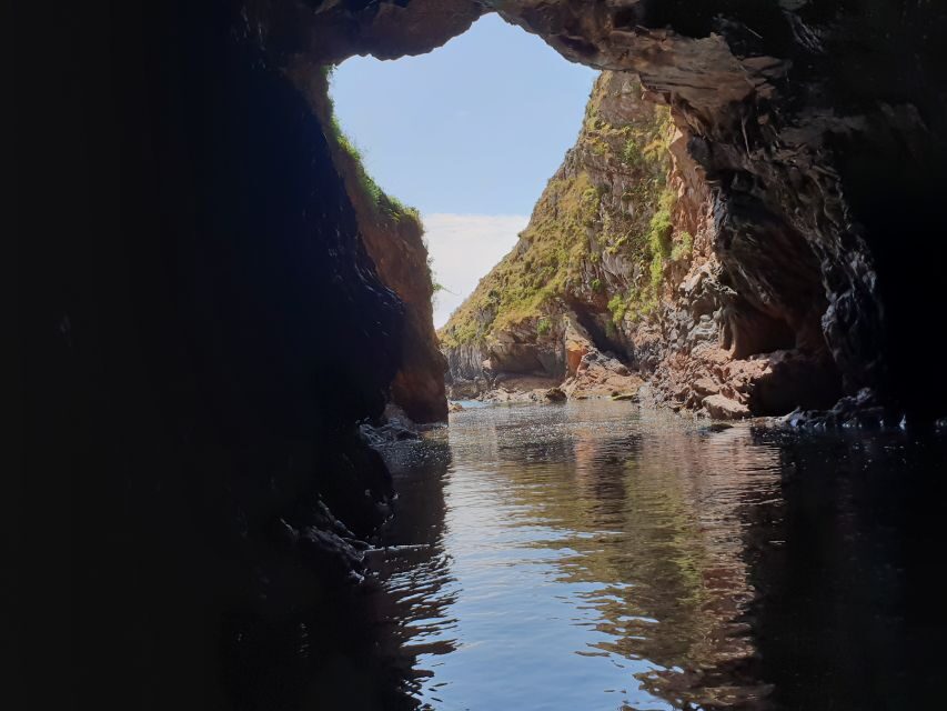 Peniche: Berlengas Roundtrip and Glass-Bottom Boat Cave Tour - The 2-Hour Island Window: Walking to São João Batista Fort