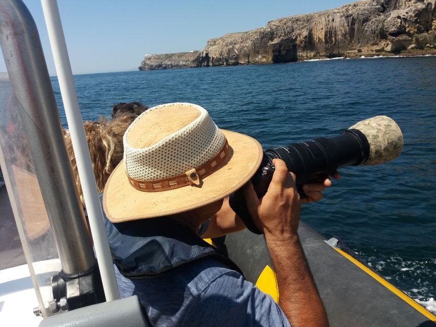 Peniche: Dolphin Route Boat Trip - Key things to know before you go