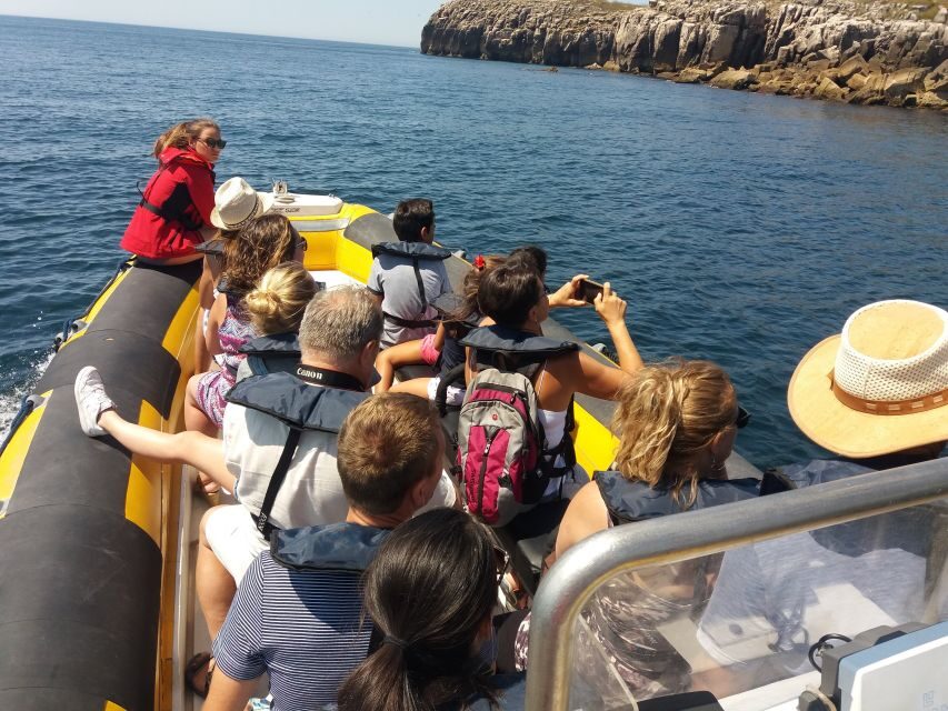 Peniche: Dolphin Route Boat Trip - What to bring (and what you’ll be glad you did)