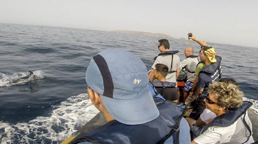 Peniche: Dolphin Route Boat Trip - Who should book this dolphin route (and who should skip it)