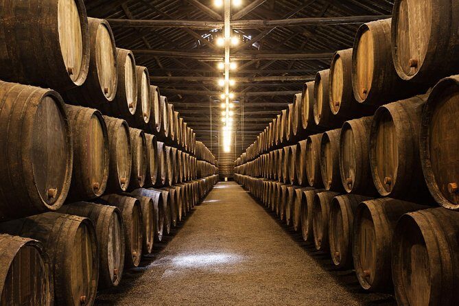 Porto Private Tour from Lisbon with Douro Cruise and Wine Tasting - How the Private Guide Shapes the Day