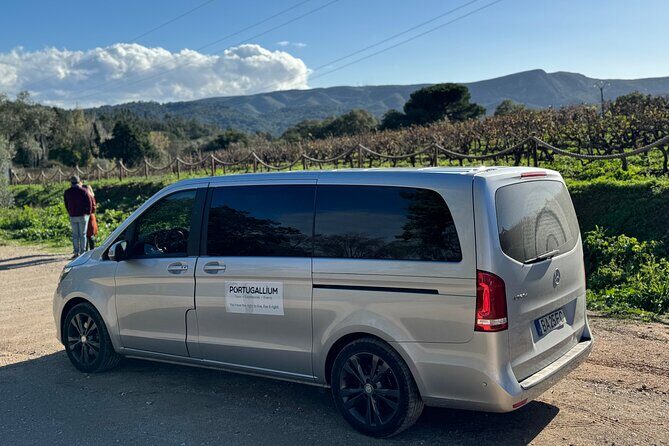 Private Full-Day Wine Tour from Lisbon with Tastings - Quinta do Alcube: mountains and Atlantic air for your first winery tasting