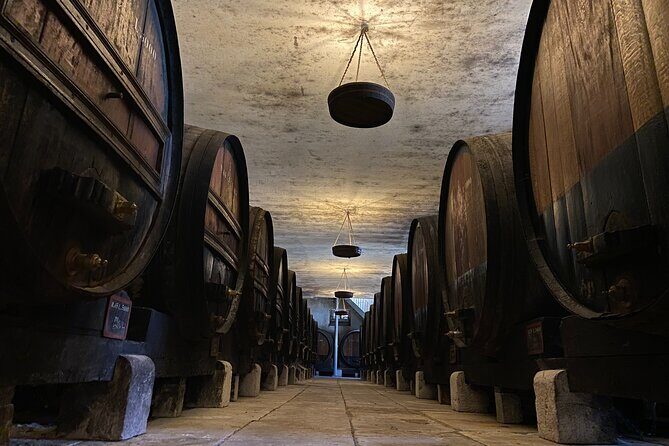 Private Full-Day Wine Tour from Lisbon with Tastings - Jose Maria de Fonseca: a long-running family wine company tour