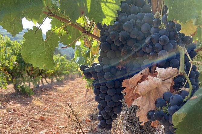 Private Full-Day Wine Tour from Lisbon with Tastings - Cristo Rei viewpoint: the Lisbon finish line with big sightlines