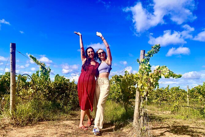 Private Lisbon-Arrábida Wine Tour: 3 Wineries, Coast & Heritage - Arrábida Natural Park: coast views without the crowds