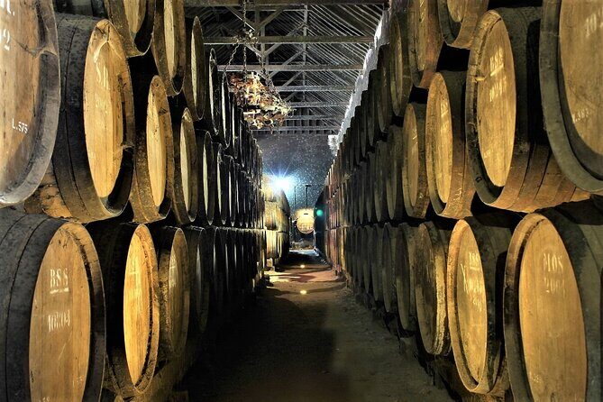 Private Wine Tasting in the Setúbal Wine Region, from Lisbon - Picking your winery mix: 2 vs 3 tastings (and lunch timing)