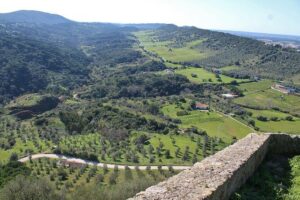 Private Wine Tasting in the Setúbal Wine Region, from Lisbon - Stop 1 in motion: getting oriented before the cellars