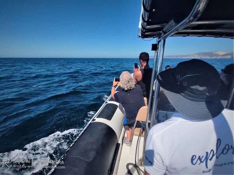 Sesimbra: Dolphin Watching Boat Tour with Biologist Guide - Sesimbra Marina to Arrábida: how the 3 hours unfold