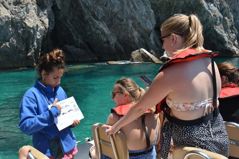 Sesimbra: Dolphin Watching Boat Tour with Biologist Guide - The biologist guide: what you learn on the water