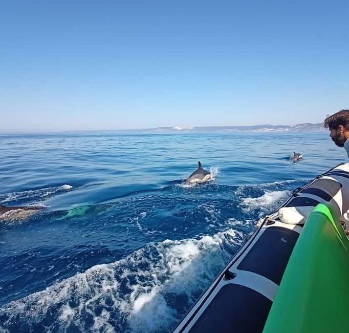 Sesimbra: Dolphin Watching Boat Tour with Biologist Guide - The best part: Ribeiro do Cavalo and snorkel time