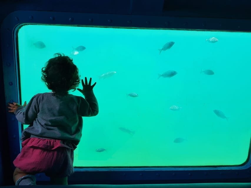 Sesimbra: Family Friendly Boat Sea Tour w/ Submarine Vision - Ribera do Cavalo Beach: the classic stop for clear-water photos