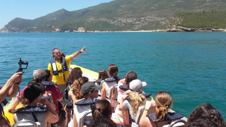 Setúbal and Tróia: Dolphin Watching and Arrábida Bays - FAQ