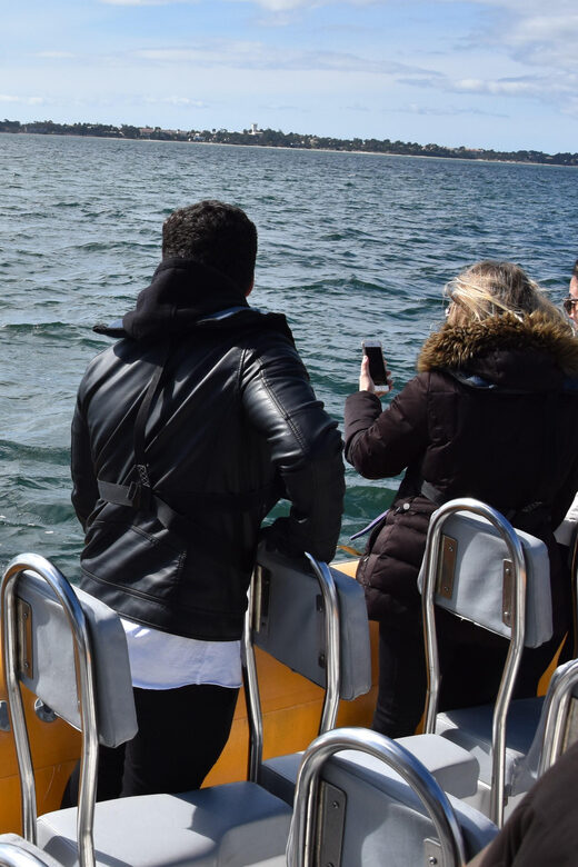 Setúbal and Tróia: Dolphin Watching and Arrábida Bays - Arrábida bays by boat: Galapos, Galapinhos, Portinho da Arrábida, and more