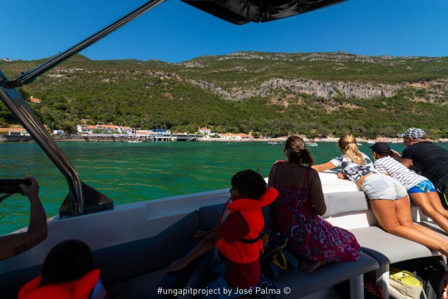 Setúbal: Dolphin Watching Boat Tour - Key takeaways before you go