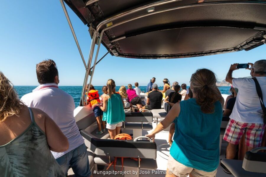 Setúbal: Dolphin Watching Boat Tour - What to Bring for a Two-Hour Trip in Setúbal Bay