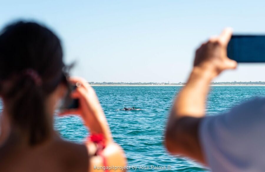 Setúbal: Dolphin Watching Boat Tour - The Modern Speedboat Ride: Comfort, Safety, and Real Sight Lines