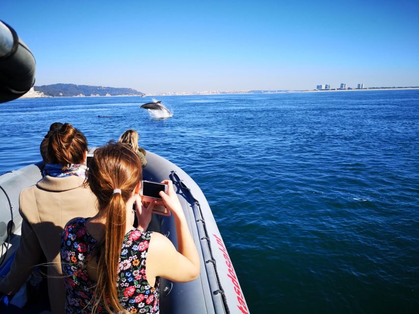 Setúbal: Dolphin Watching Boat Tour - Price and Value: Is $53 Fair for 2 Hours on the Water?